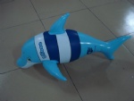 PVC inflatable